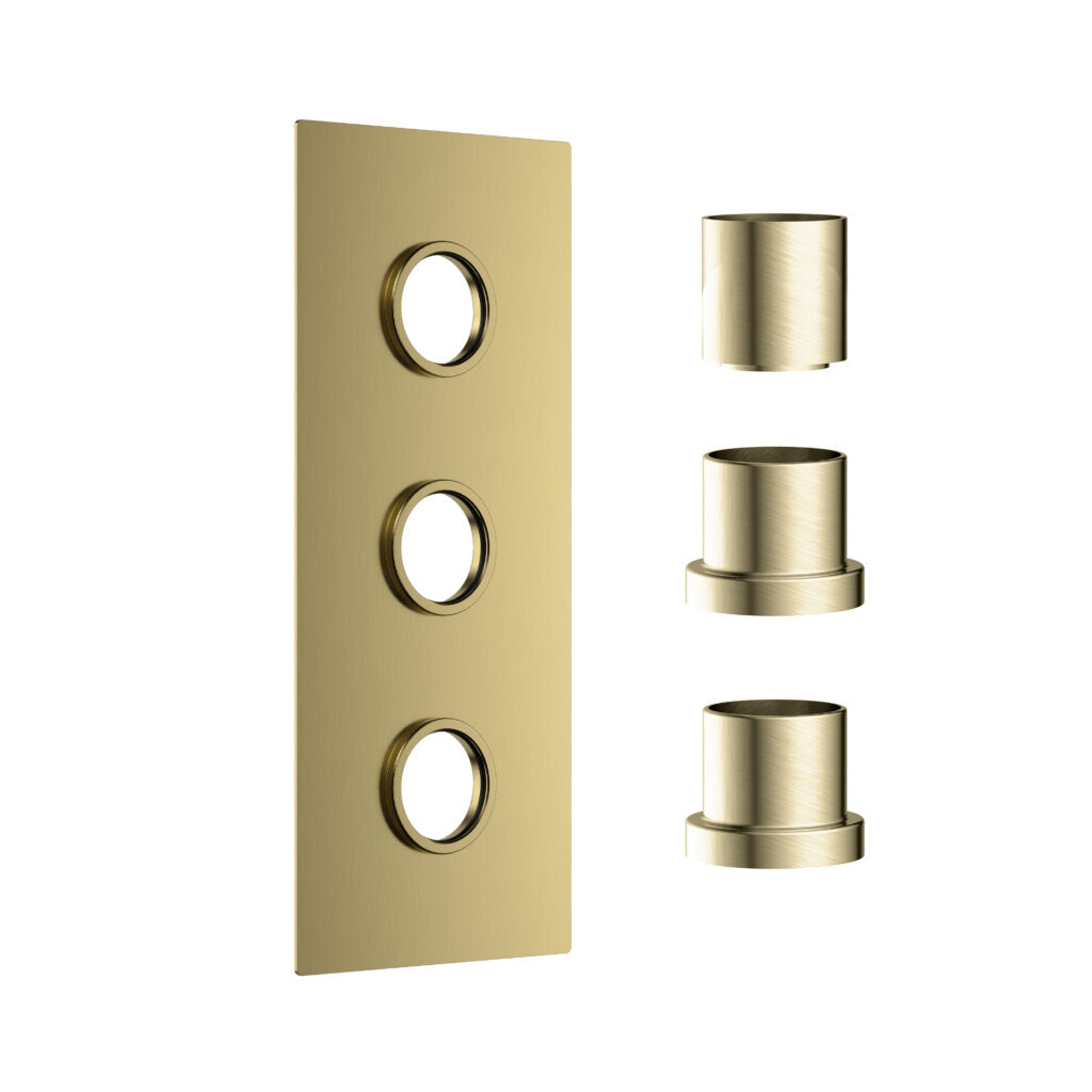 Concealed Plate with Sleeves (3 Outlet) Brushed Brass